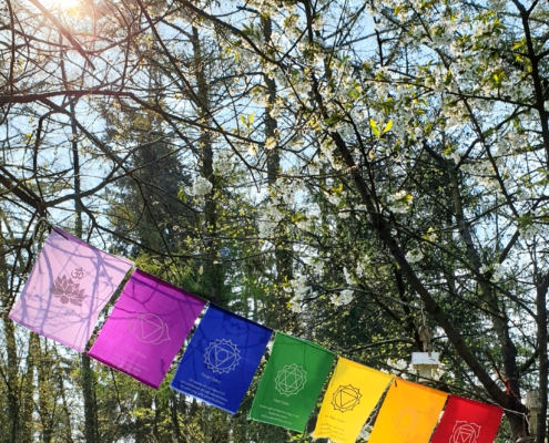 Prayerflags Chakra's Coachingstraject