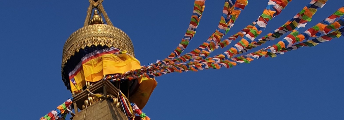 Top Stupa Boudhanath breed
