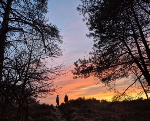 Uitzichtspunt op de heide bij ons